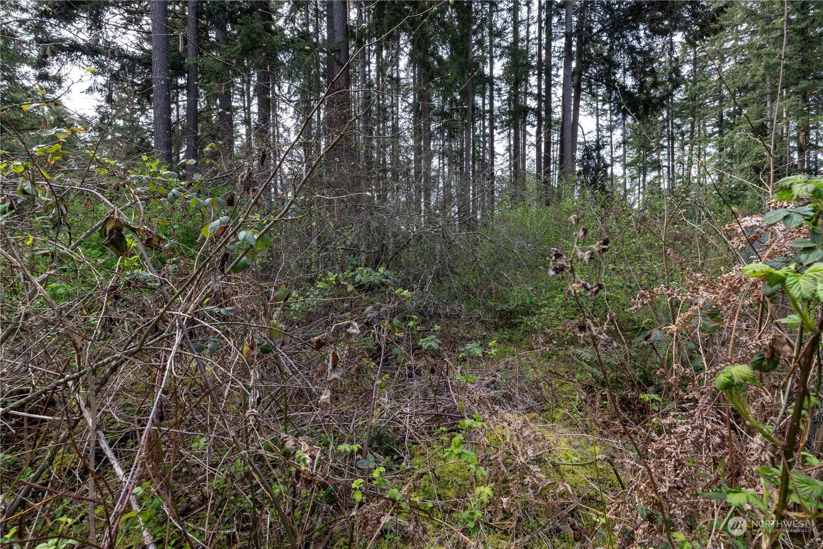 0 (Lot 3) 95th Avenue Ct Property Photo 1