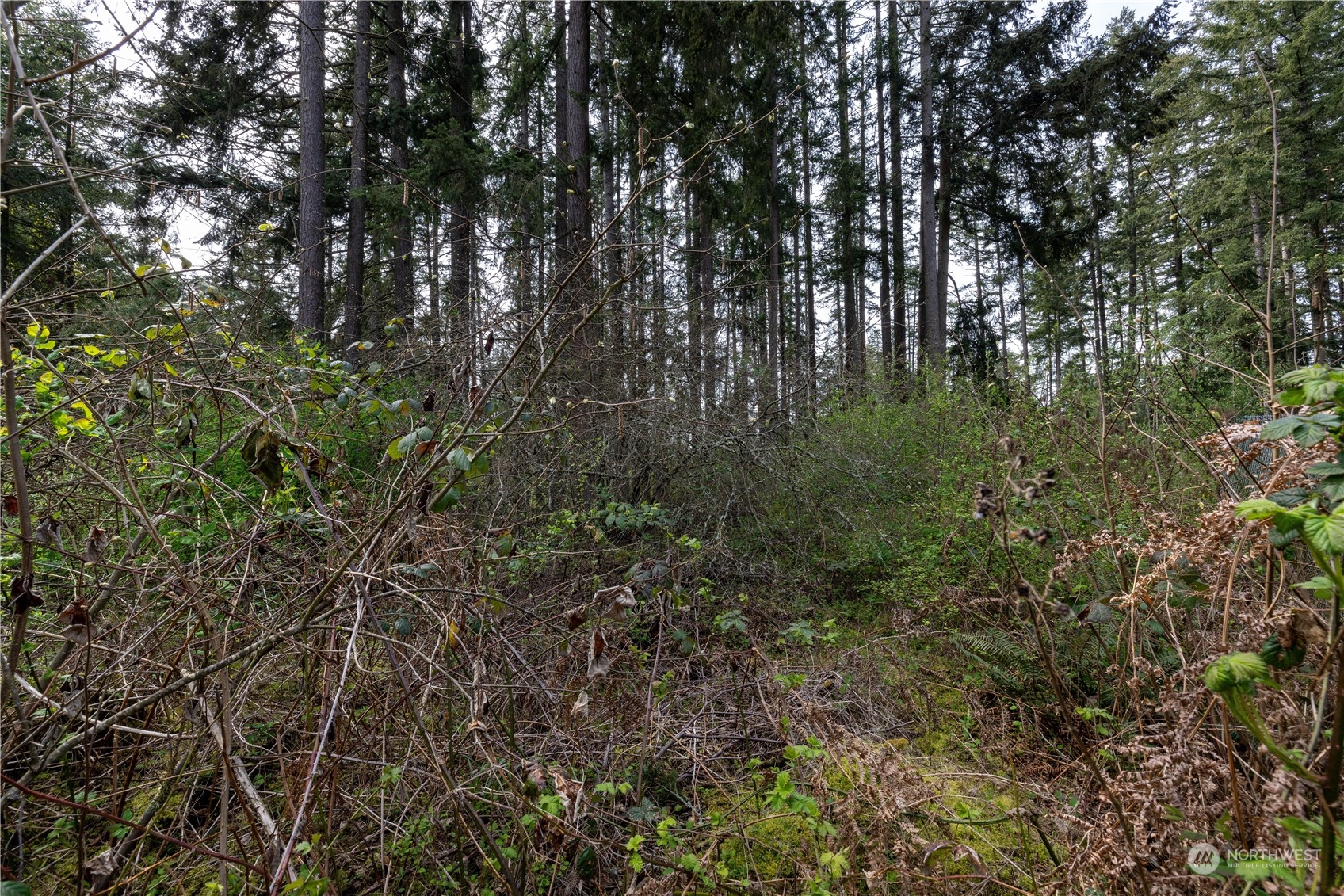 0 (lot 3) 95th Avenue Ct Property Photo 2