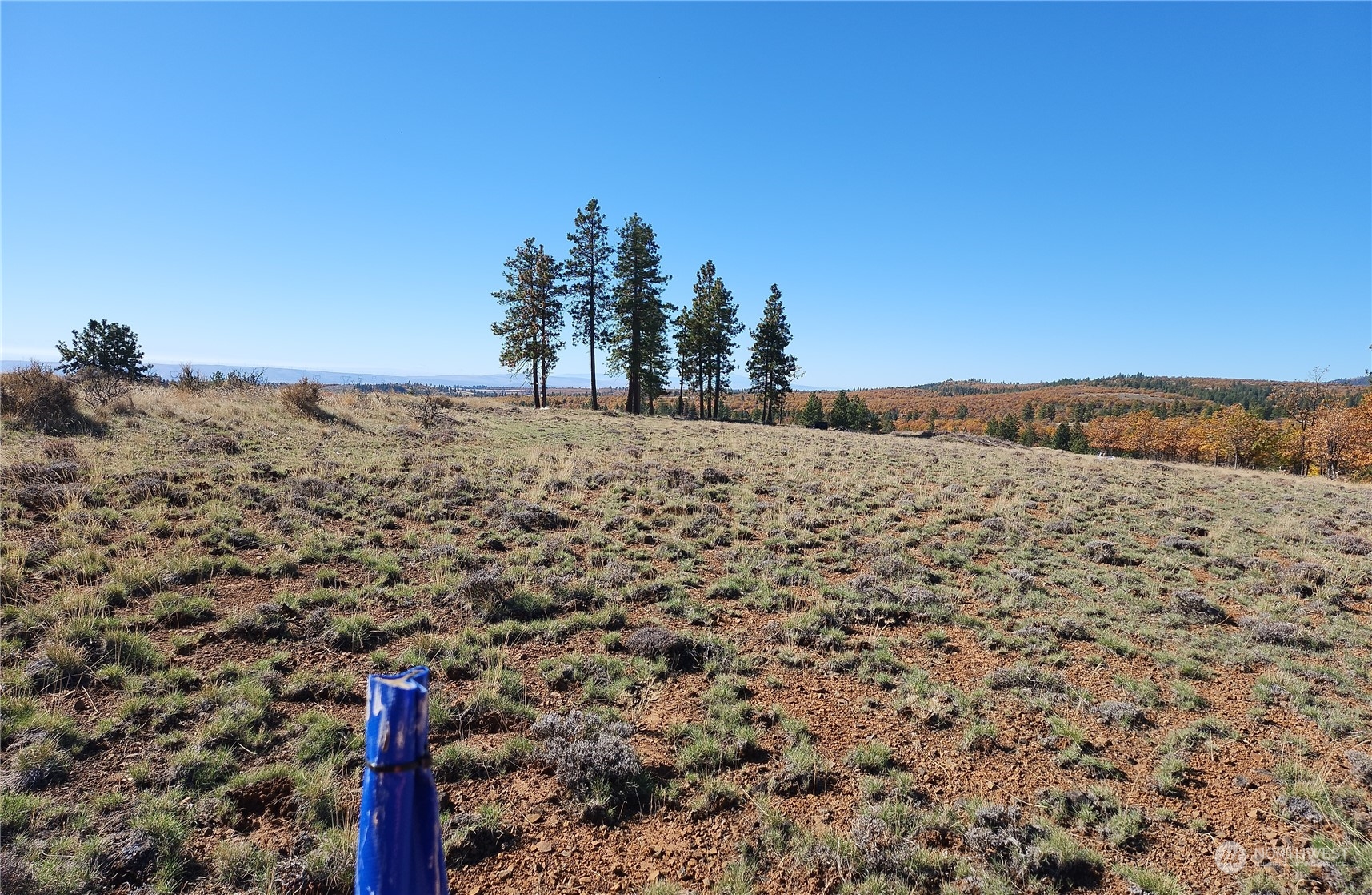 0 Lot 36 Bluebird Ridge 1 Property Photo