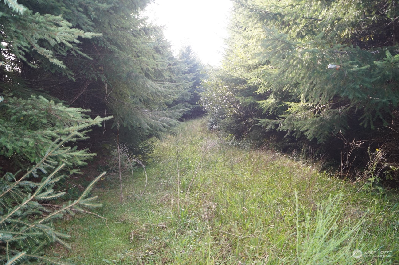 0 M.p. 1 State Route 107 Property Photo 5