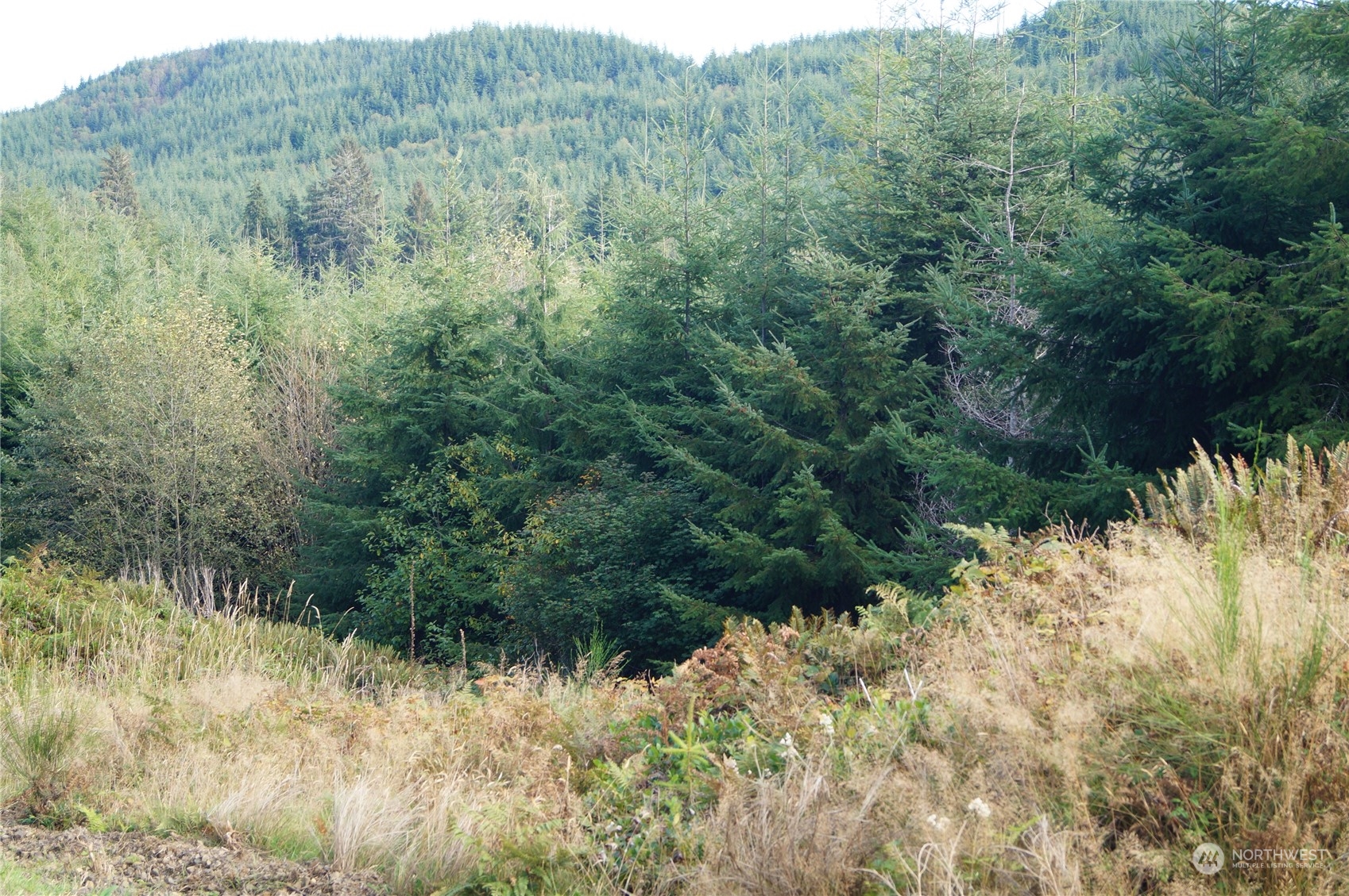 0 M.p. 1 State Route 107 Property Photo 9