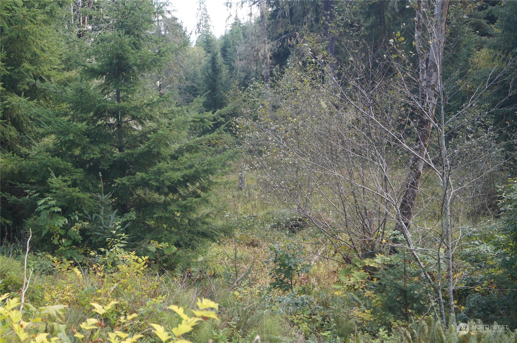 0 M.p. 1 State Route 107 Property Photo 11