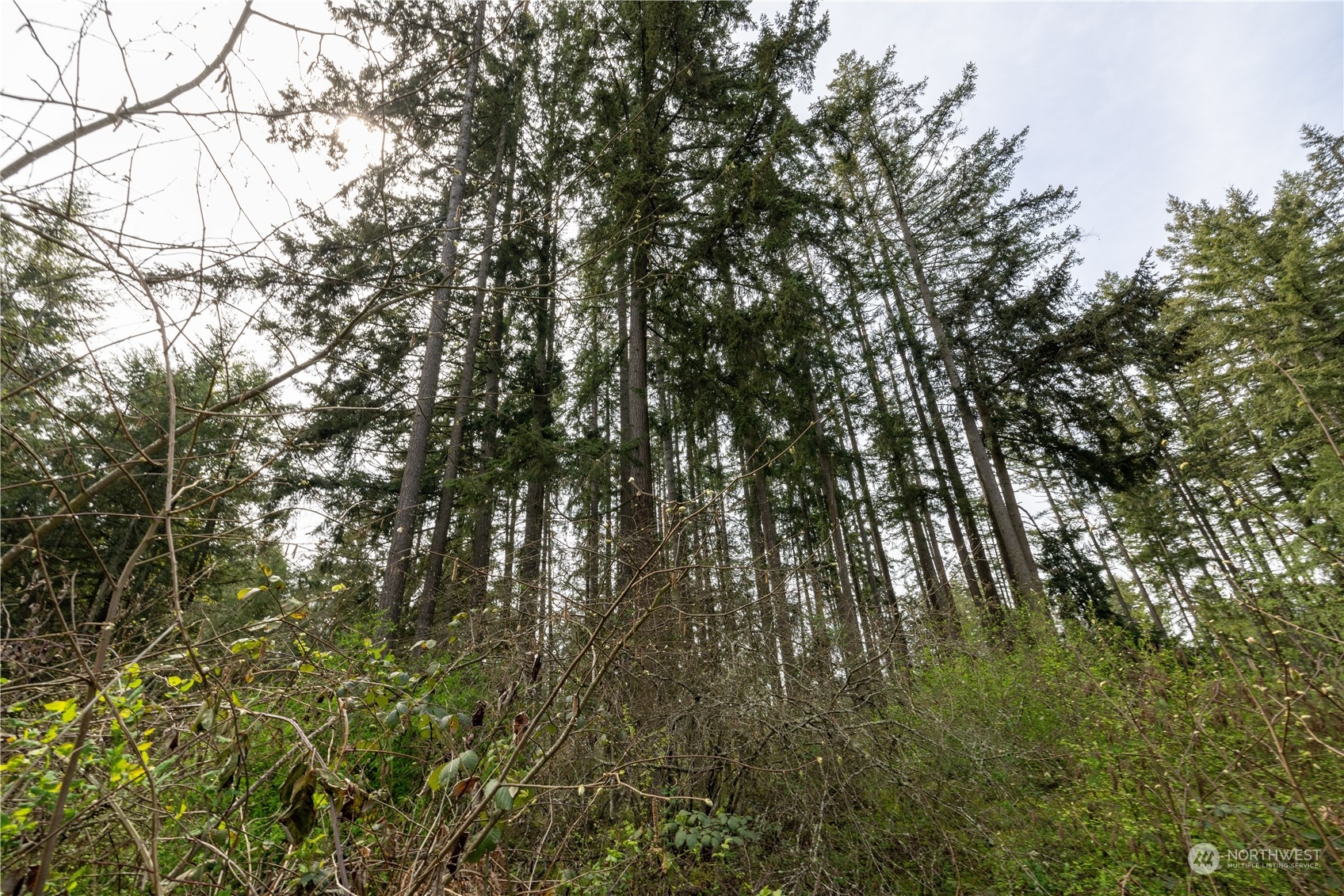 0 (lot 2) 95th Avenue Ct Property Photo 3