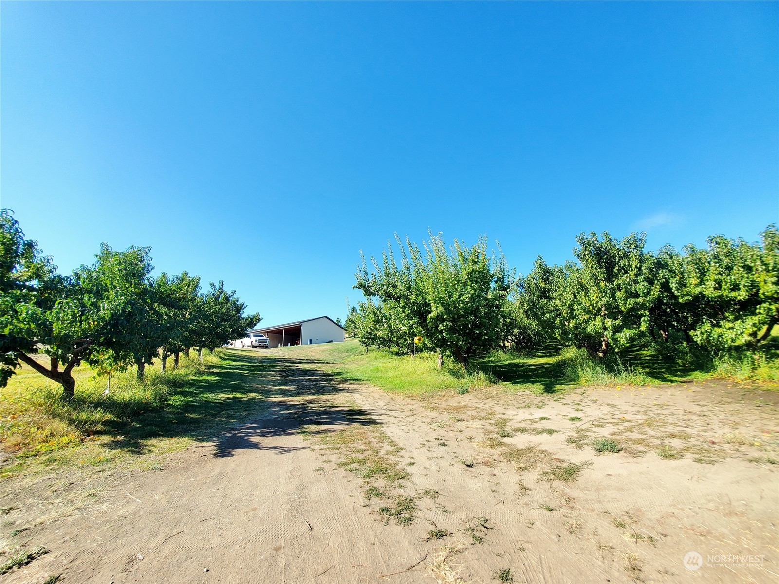 307 Highway 7 Property Photo 31