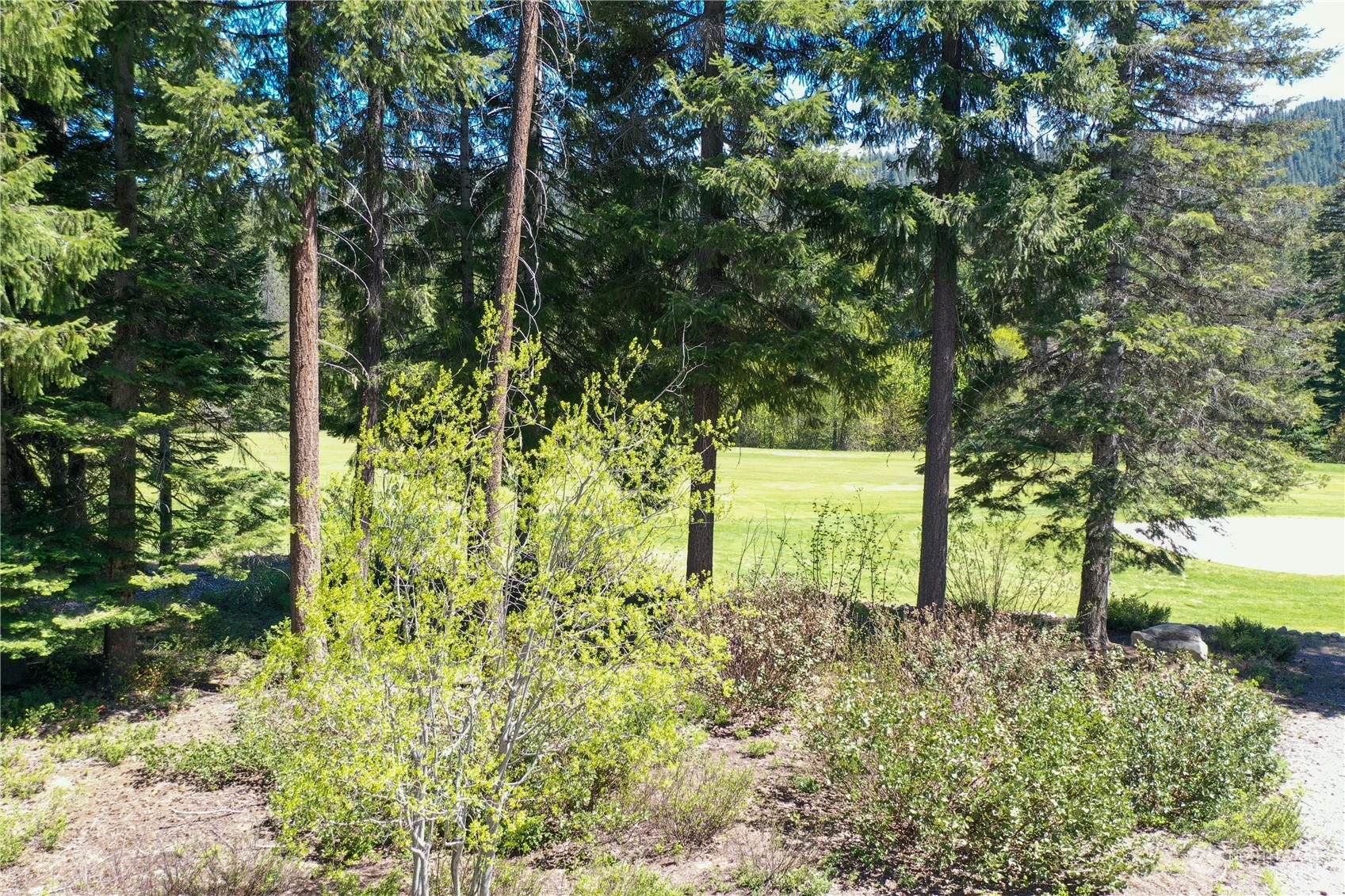 20685 Miracle Mile Property Photo 5