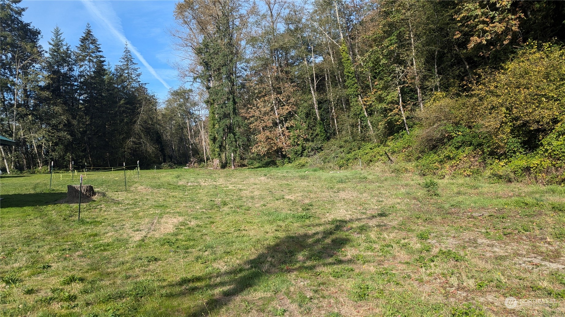 31434 Prevedell Road Property Photo 16