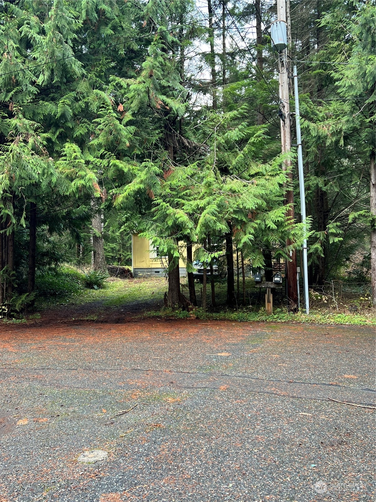 901 Ruby Valley Court Property Photo 3