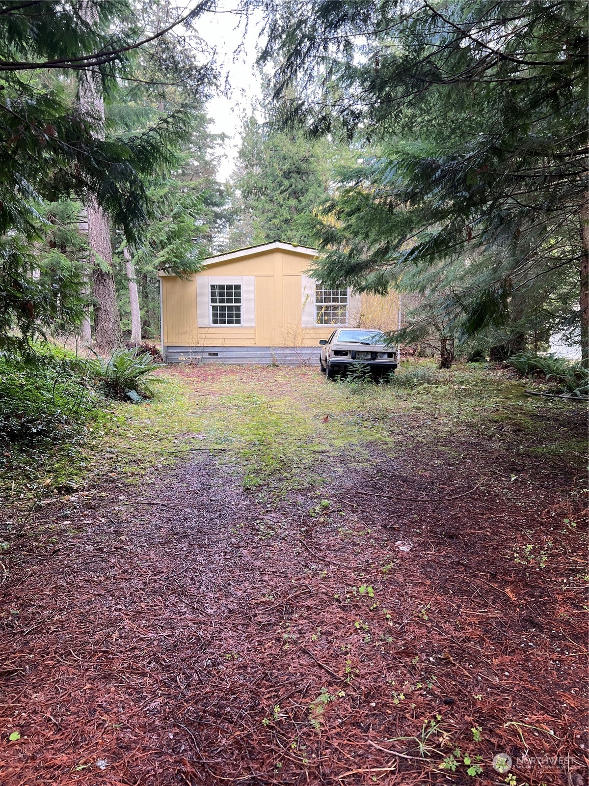 901 Ruby Valley Court Property Photo 4