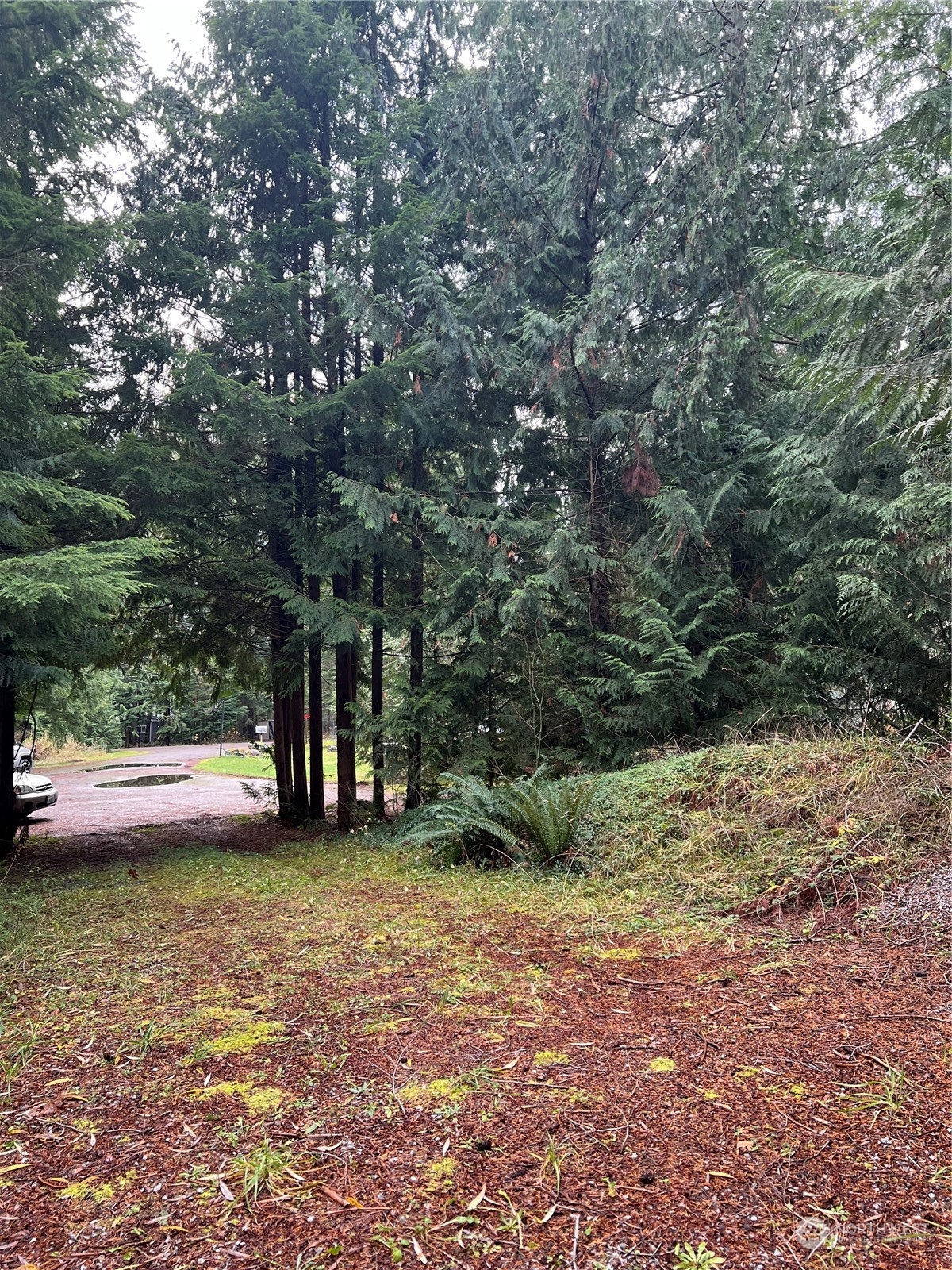 901 Ruby Valley Court Property Photo 6