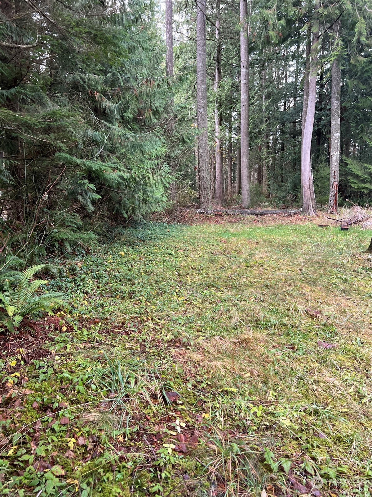 901 Ruby Valley Court Property Photo 13