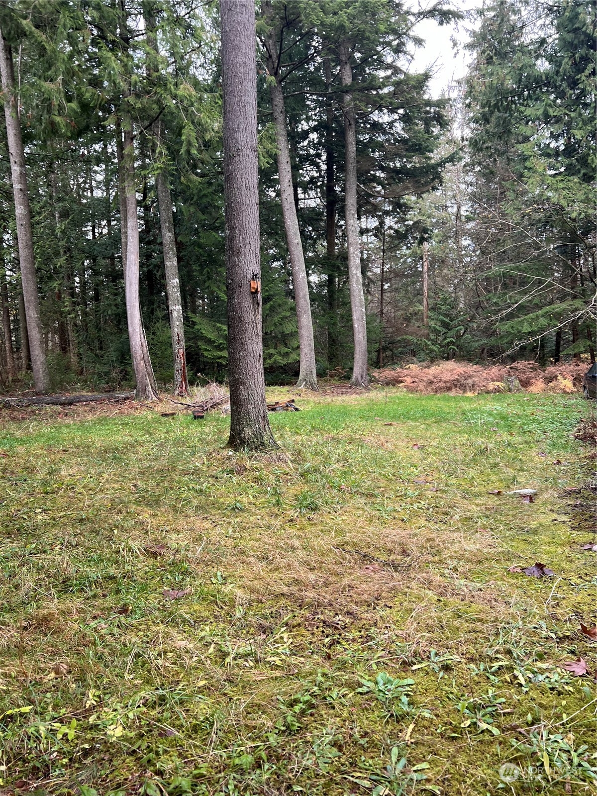 901 Ruby Valley Court Property Photo 14