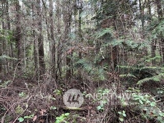 0 Eye Street Property Photo