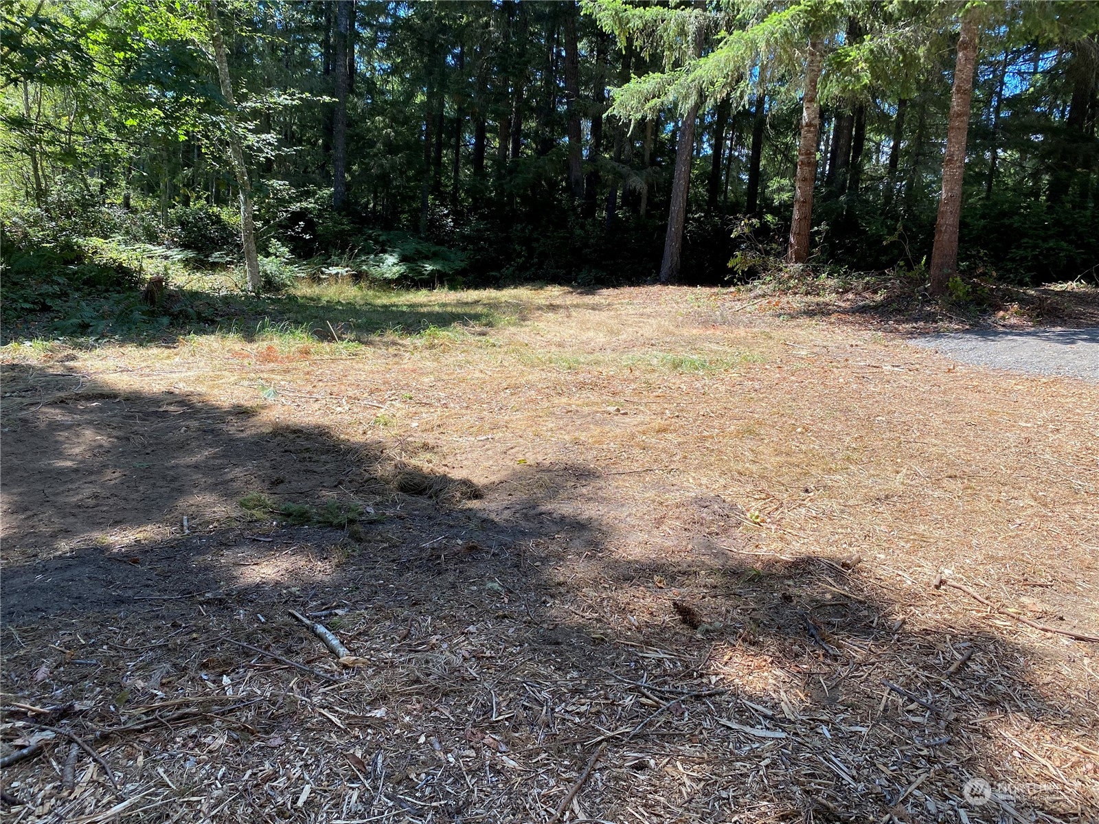 11573 Coyle Road Property Photo 3