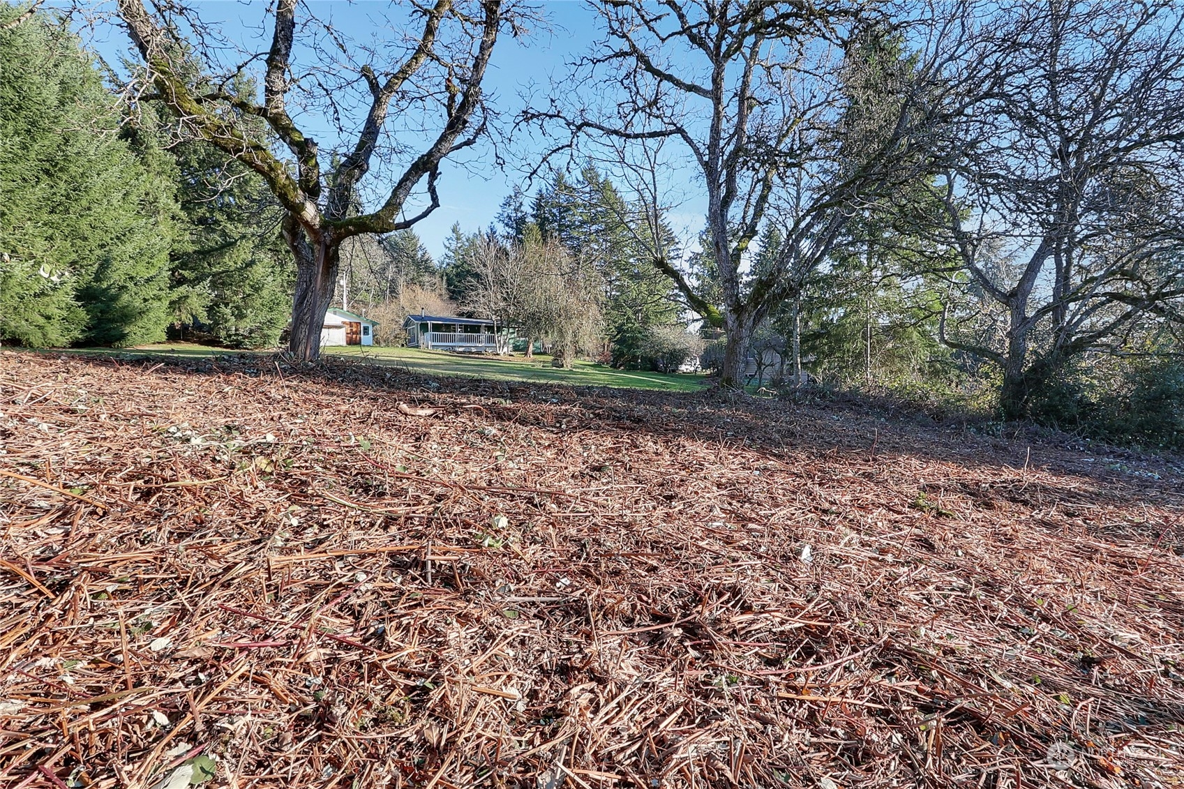 32910 5th Avenue Property Photo 24