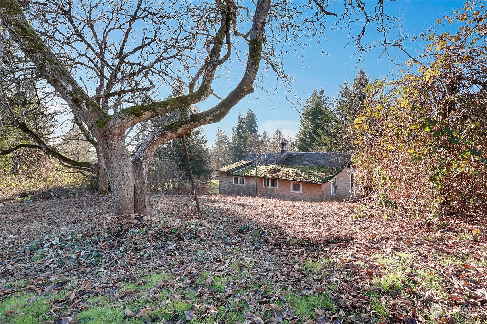 32910 5th Avenue Property Photo 25