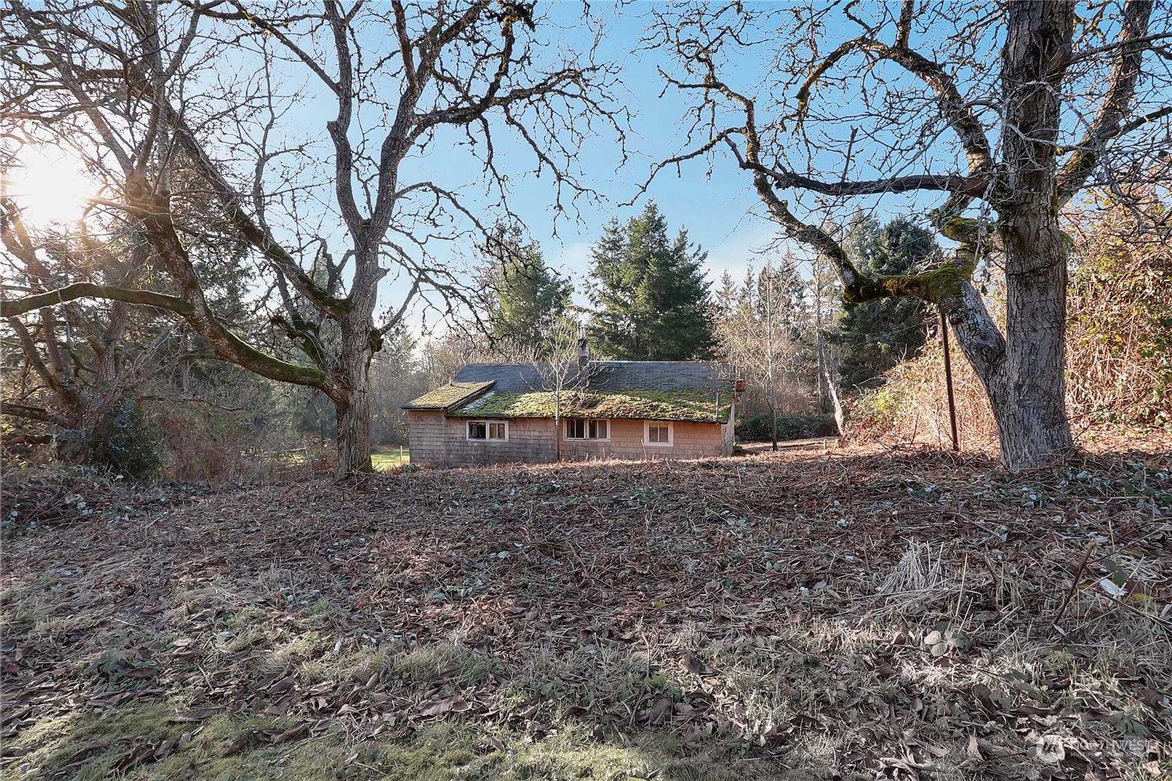 32910 5th Avenue Property Photo 26