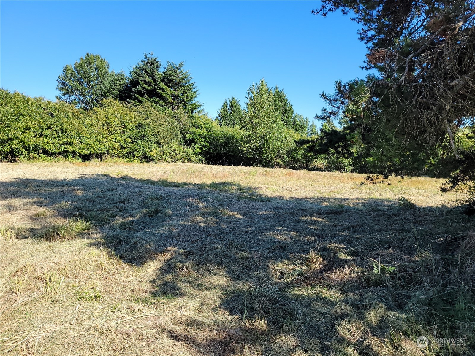 833 20th Street Property Photo 4