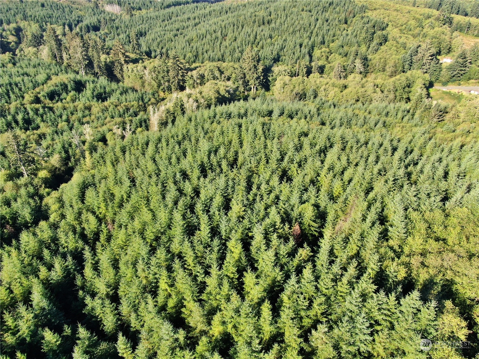 0 Off Of Butte Creek Road Property Photo 3