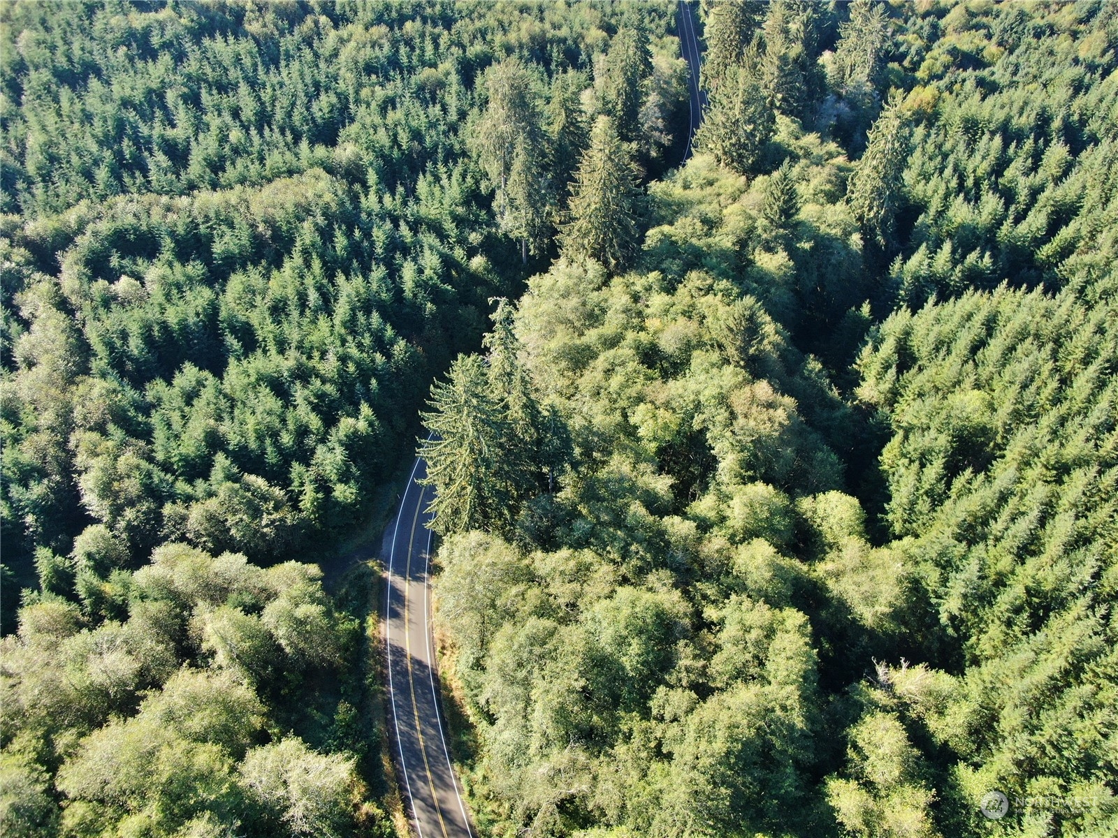 0 Nka Butte Creek Road Property Photo 4