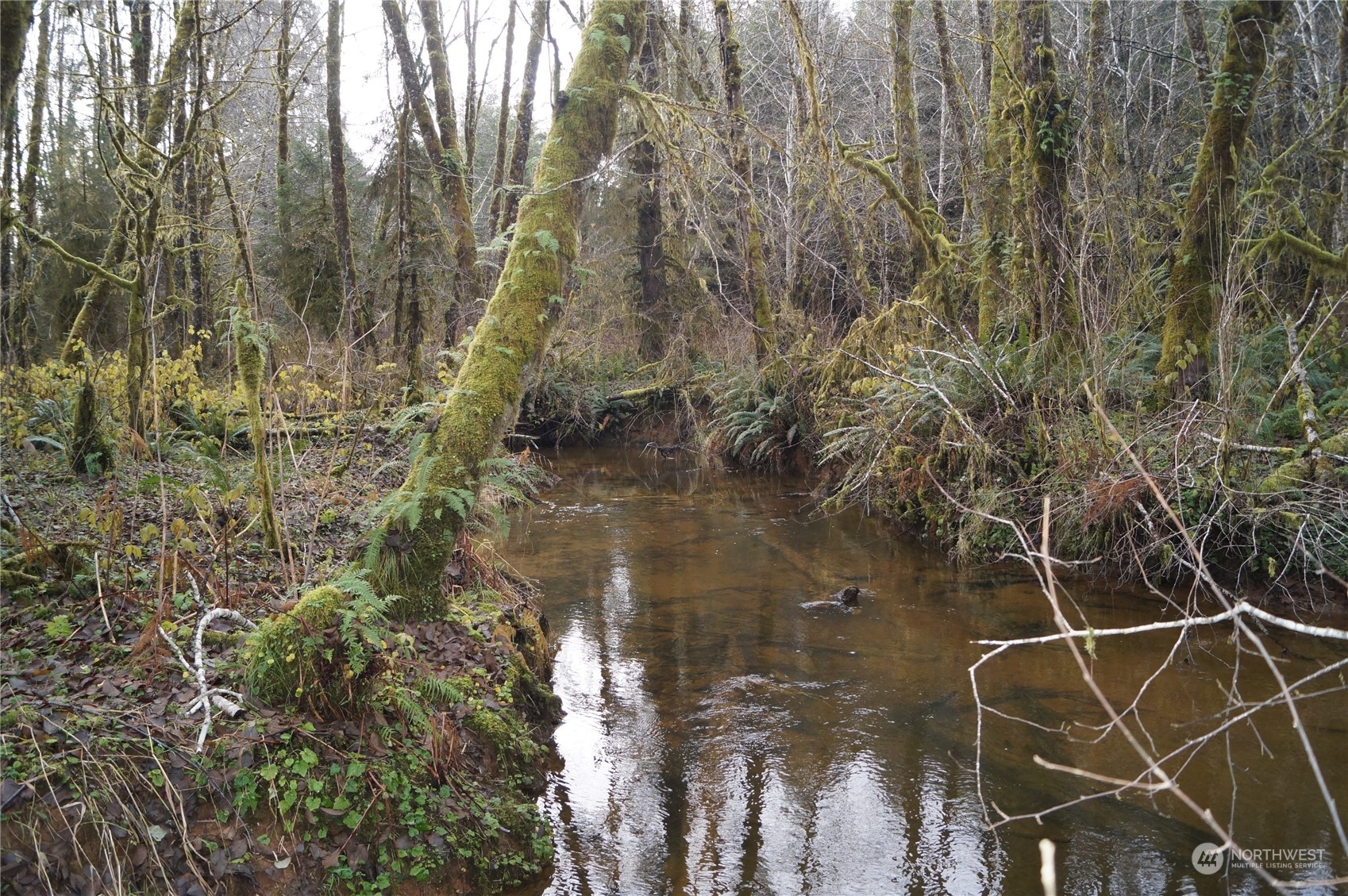 0 Nka Butte Creek Road Property Photo 8