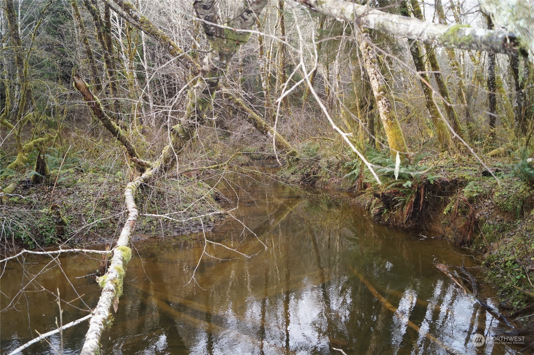 0 Nka Butte Creek Road Property Photo 9