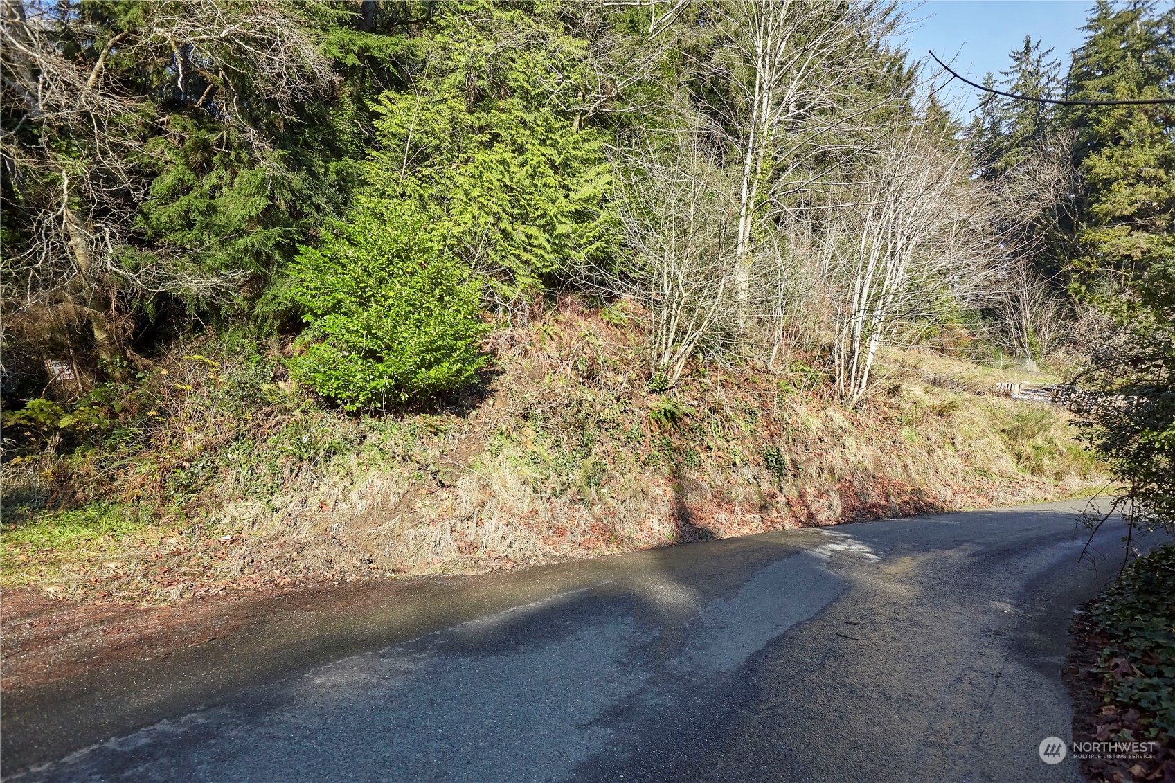 0 Blk 13 Lots 1-2 Pioneer Boulevard Property Photo