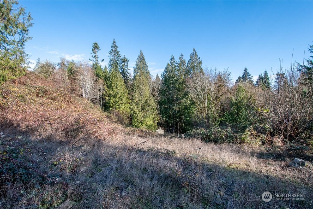 145 Newt Estates Road Property Photo 22