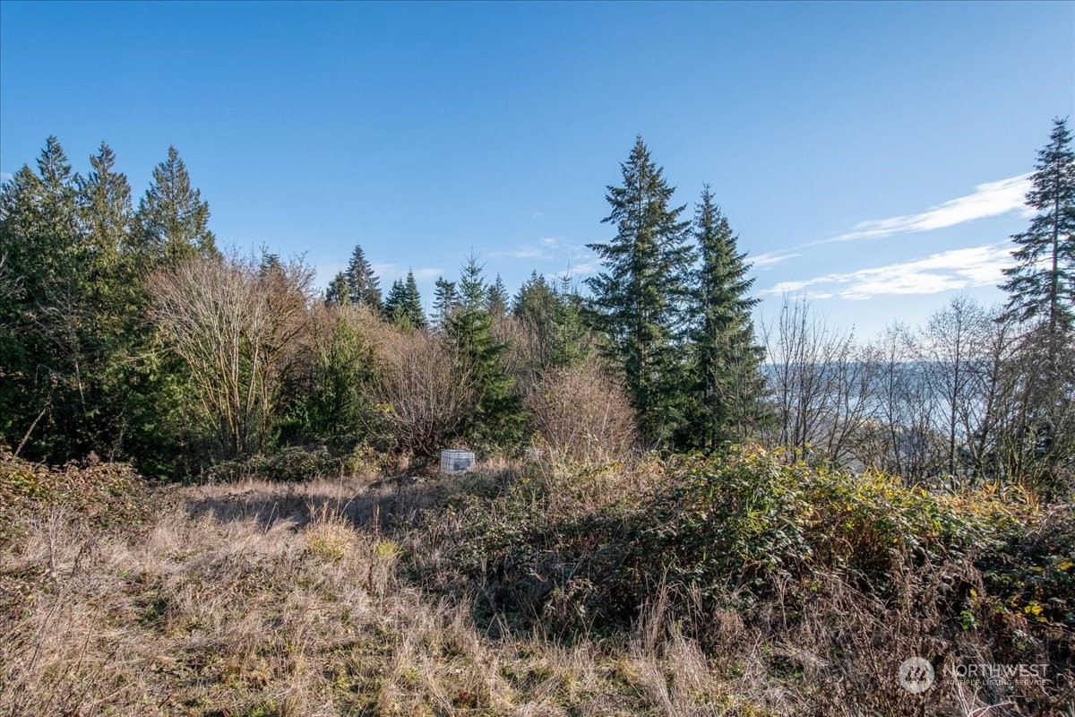 145 Newt Estates Road Property Photo 24