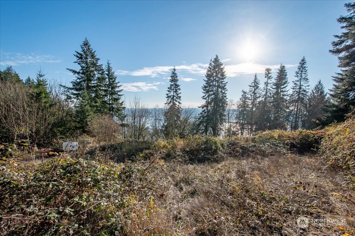 145 Newt Estates Road Property Photo 25