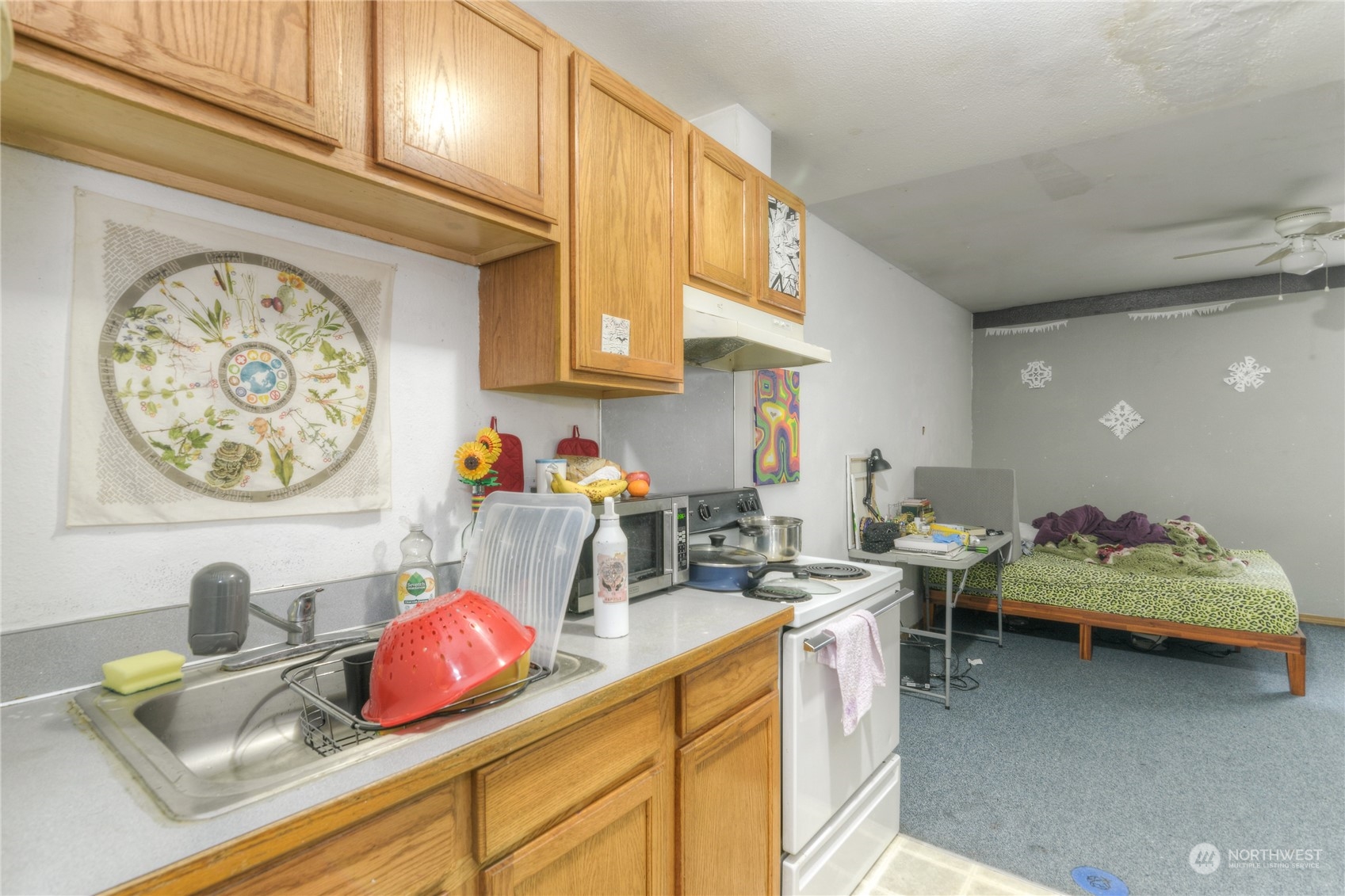 213 4th Avenue Property Photo 19