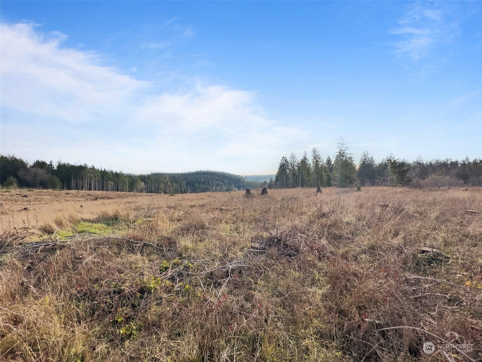 607 Brown Road Property Photo 17