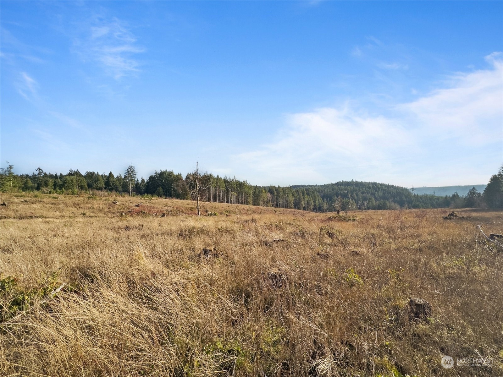 607 Brown Road Property Photo 19
