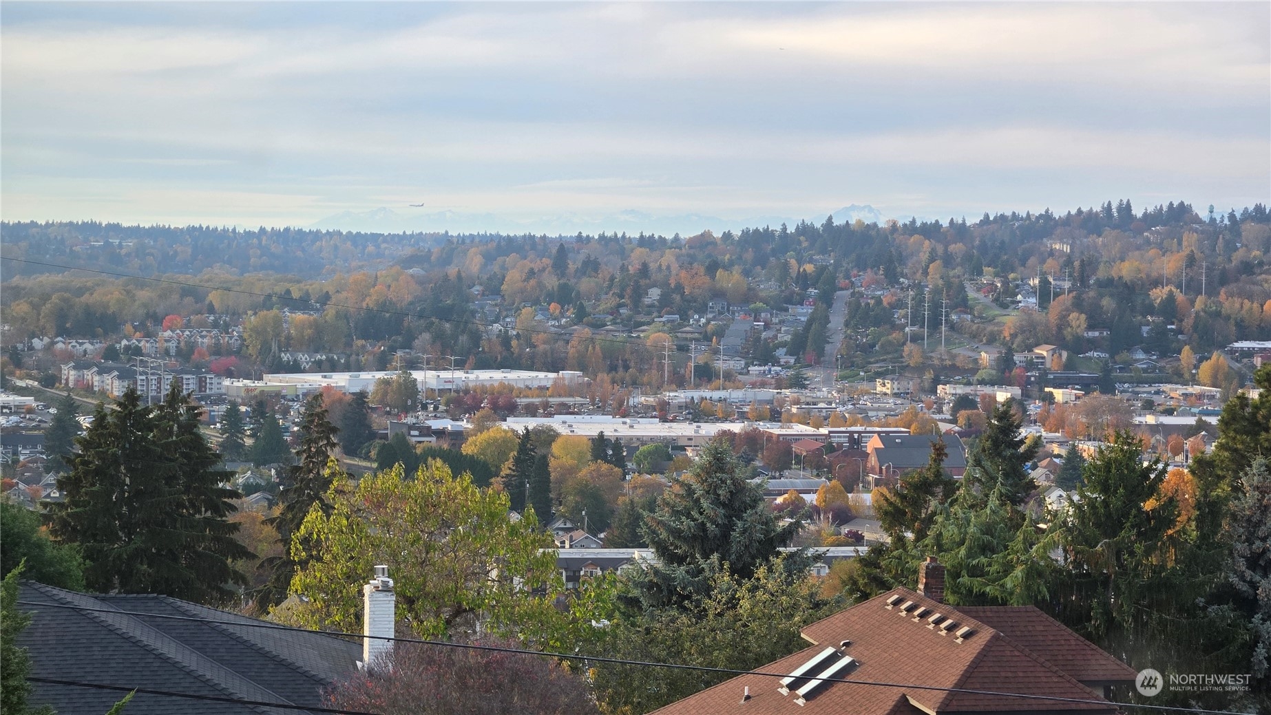 508 Renton Avenue Property Photo 29