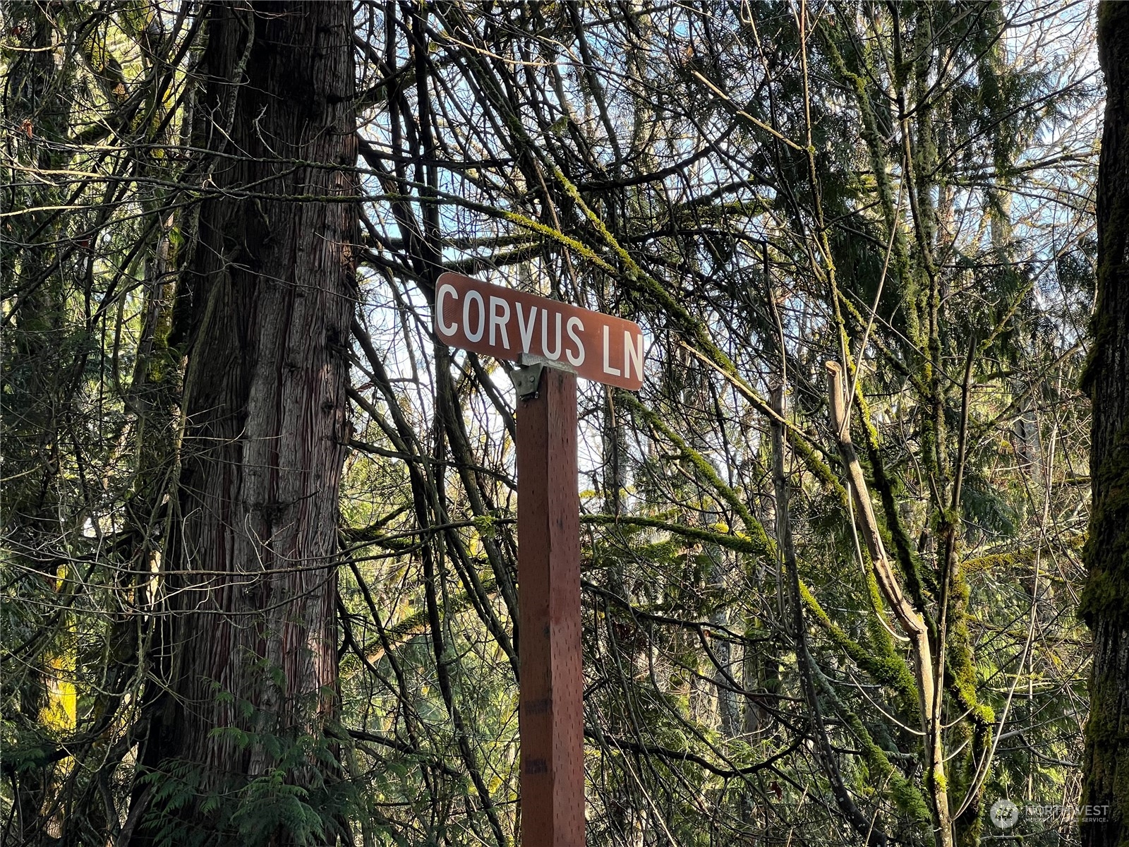 7251 Oak Bay Road Property Photo 13