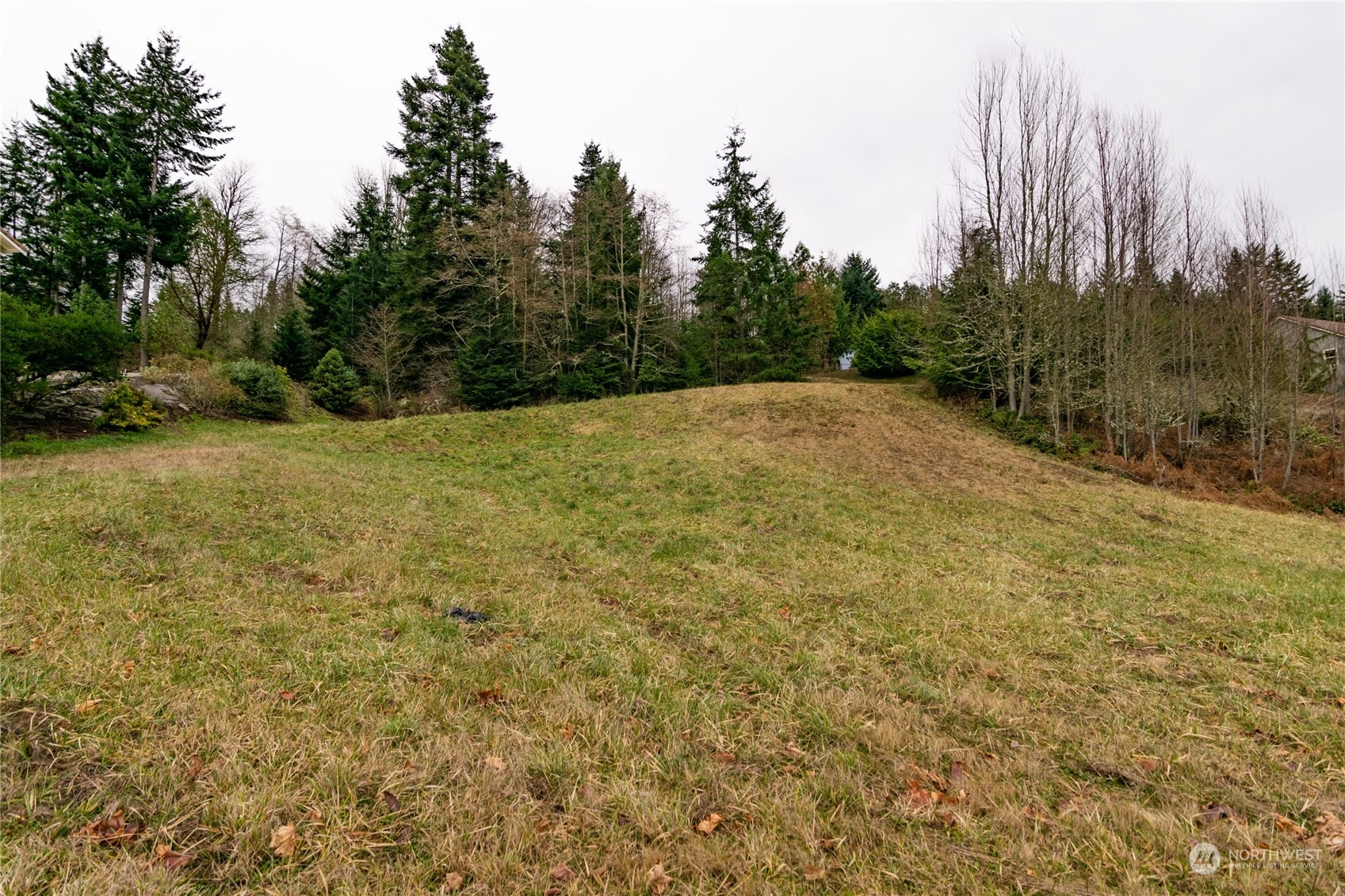 0 Owls Nest Road Property Photo 3