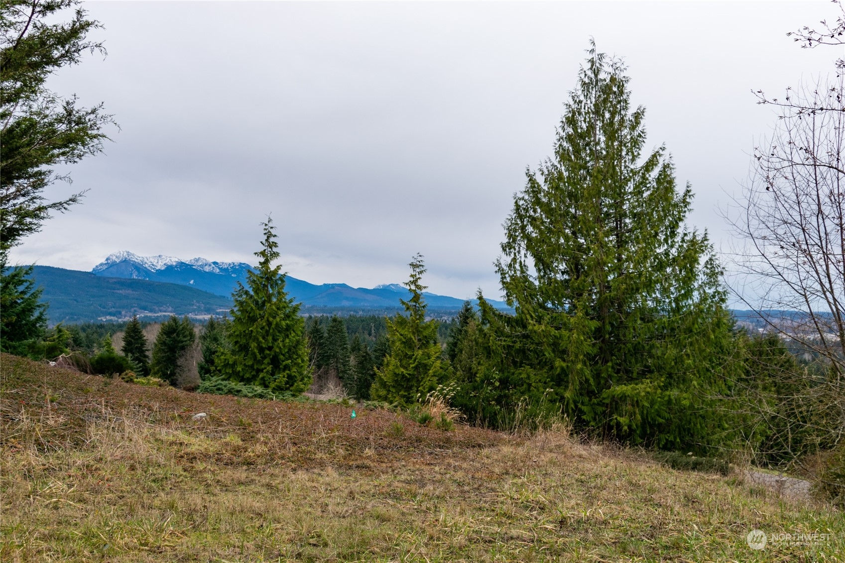 0 Owls Nest Road Property Photo 6