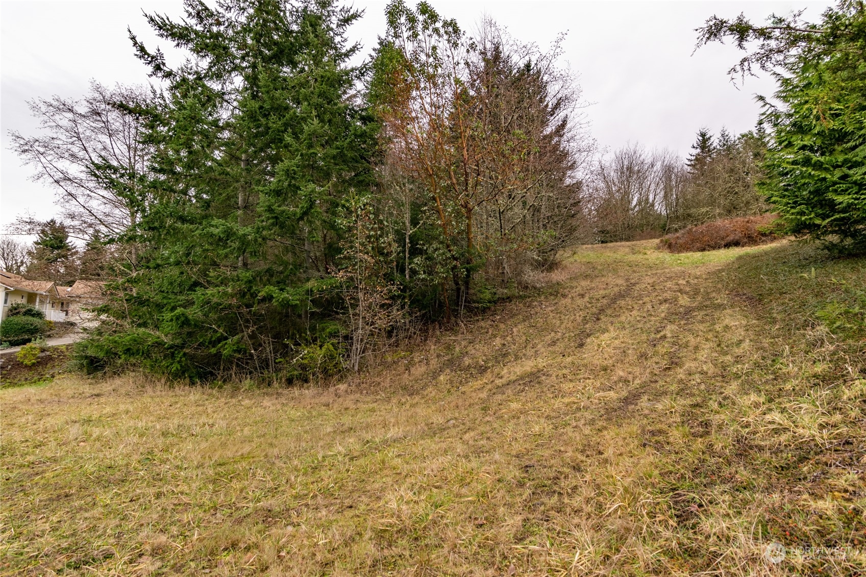 0 Owls Nest Road Property Photo 10