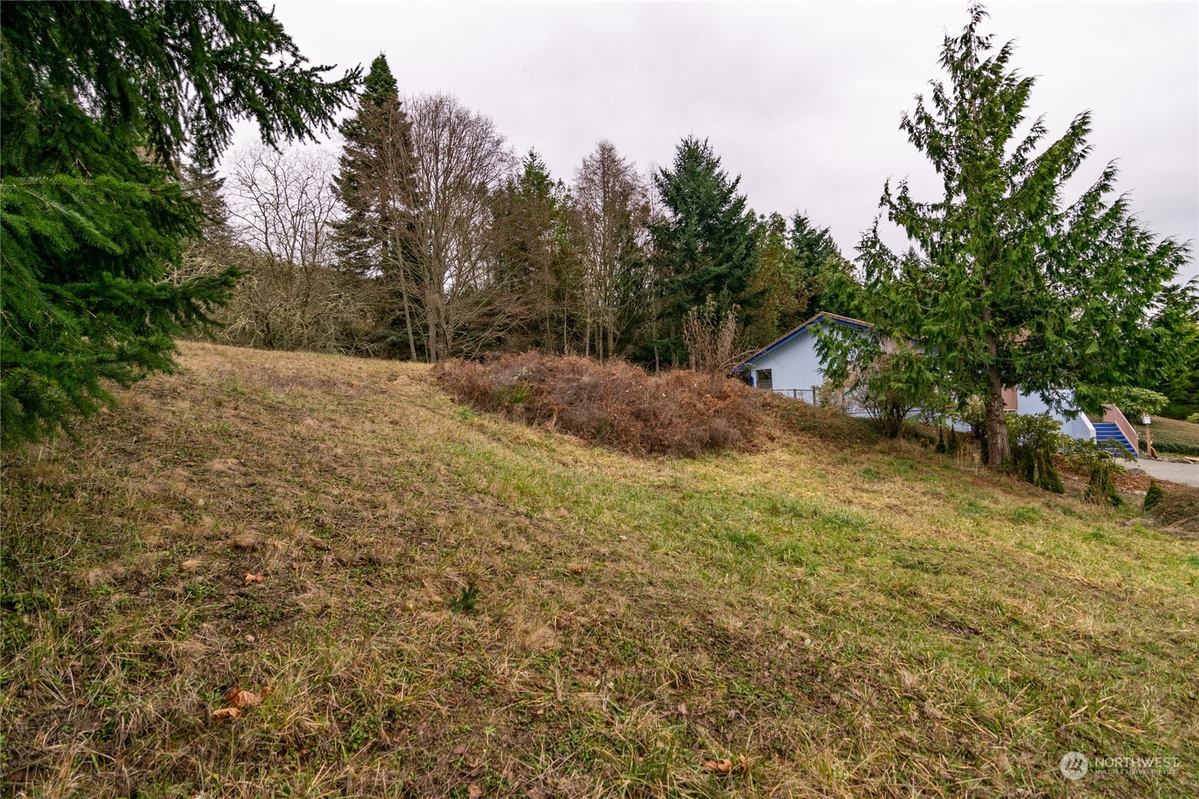 0 Owls Nest Road Property Photo 12