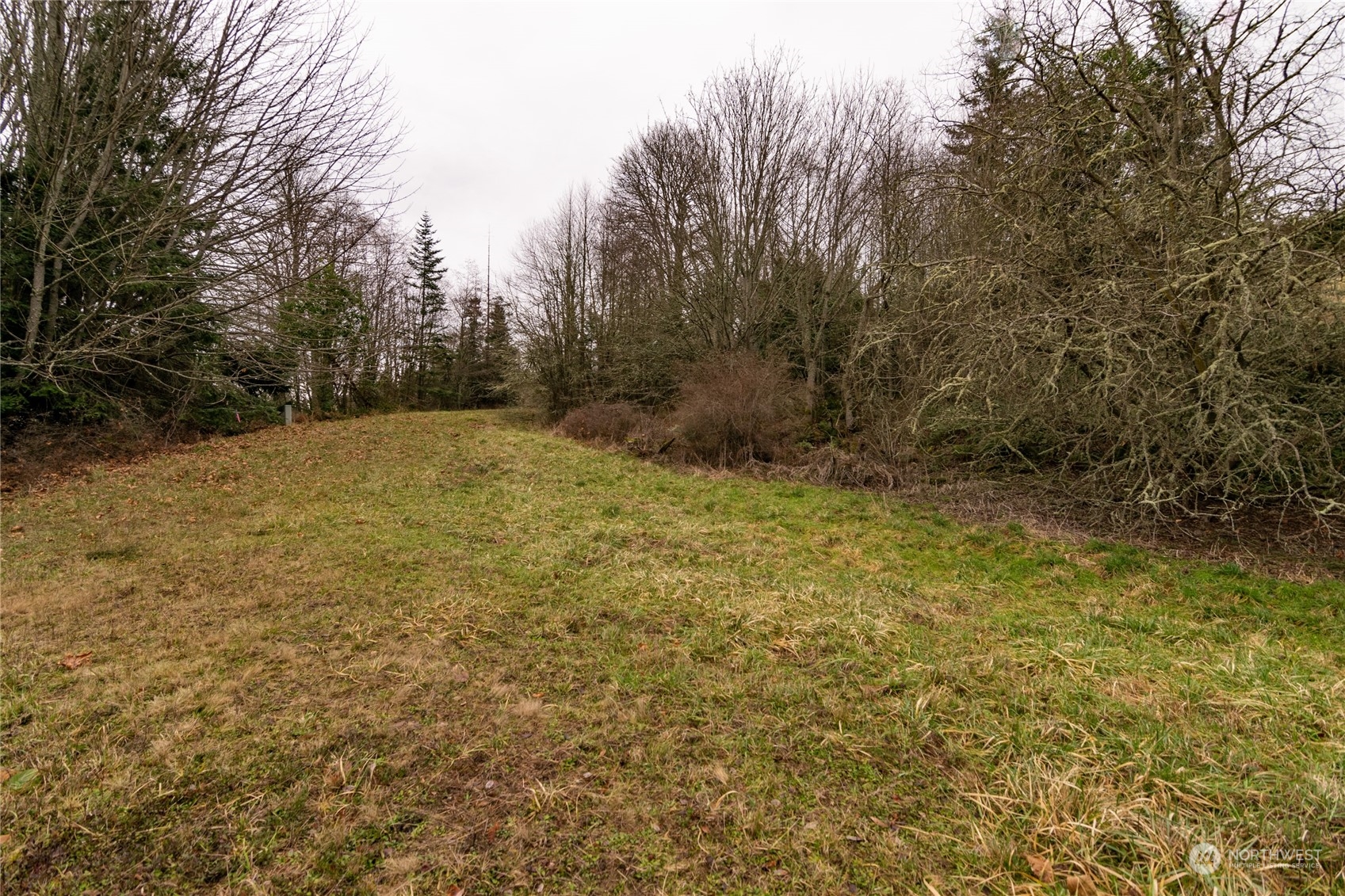 0 Owls Nest Road Property Photo 14