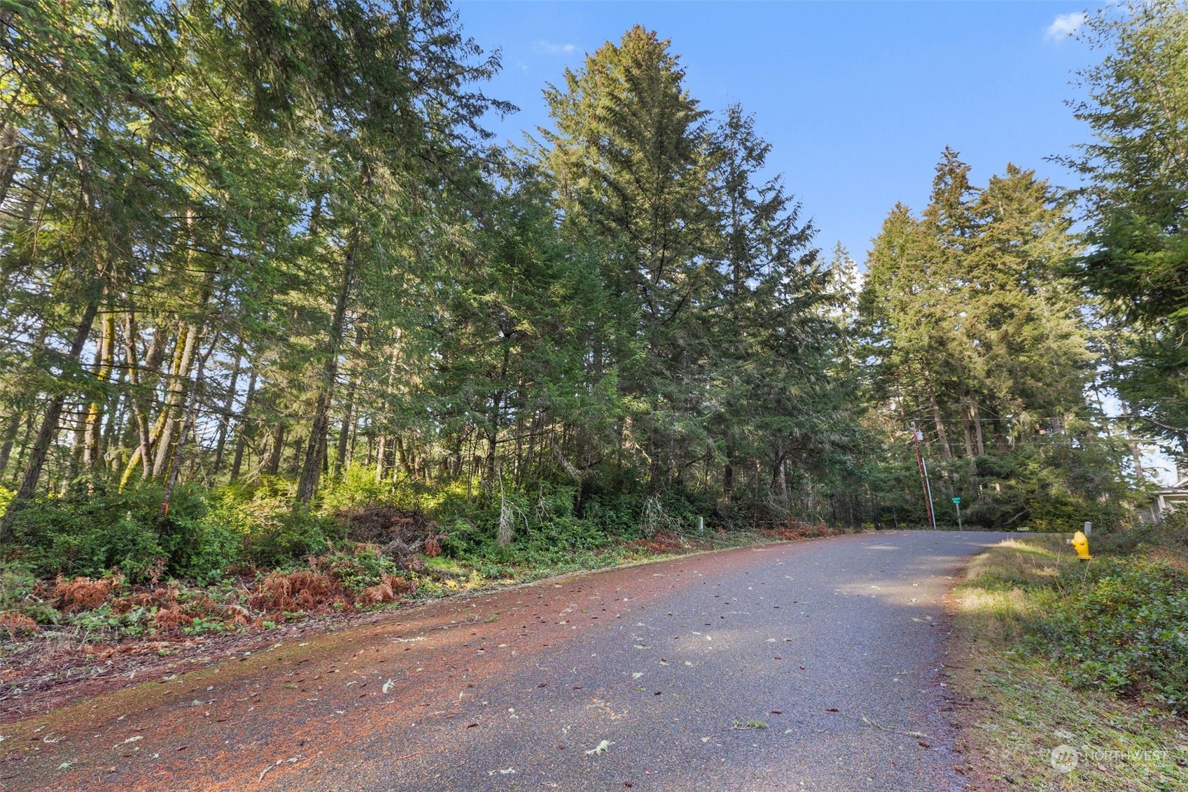 10510 Olympic Place Property Photo 2