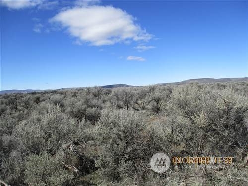 125 Bodie Drive Property Photo 1