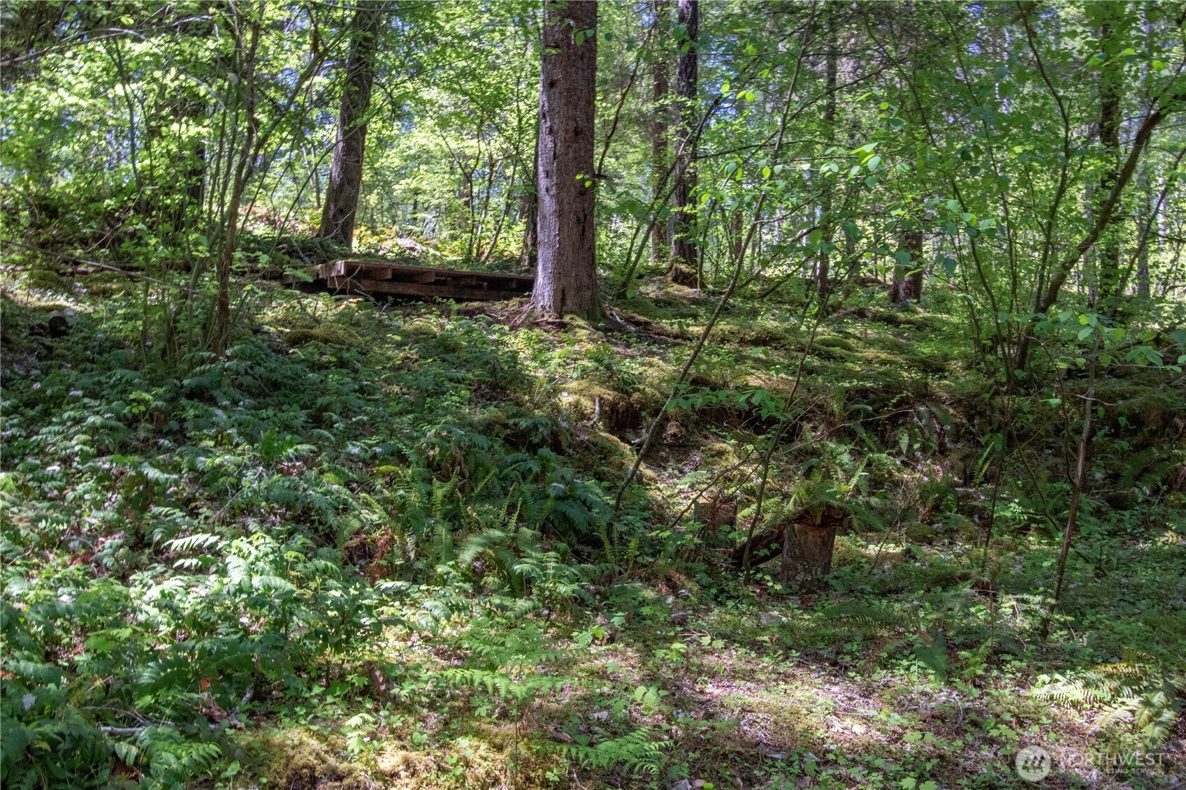 372 30 Craig Road Property Photo