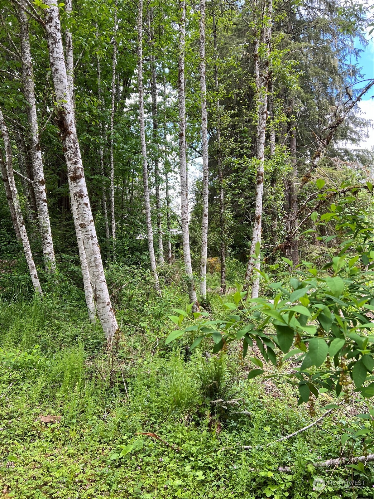 16024 Low Lane Property Photo