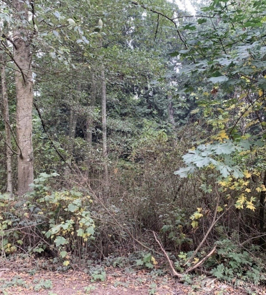 46 A Snohomish Way Property Photo