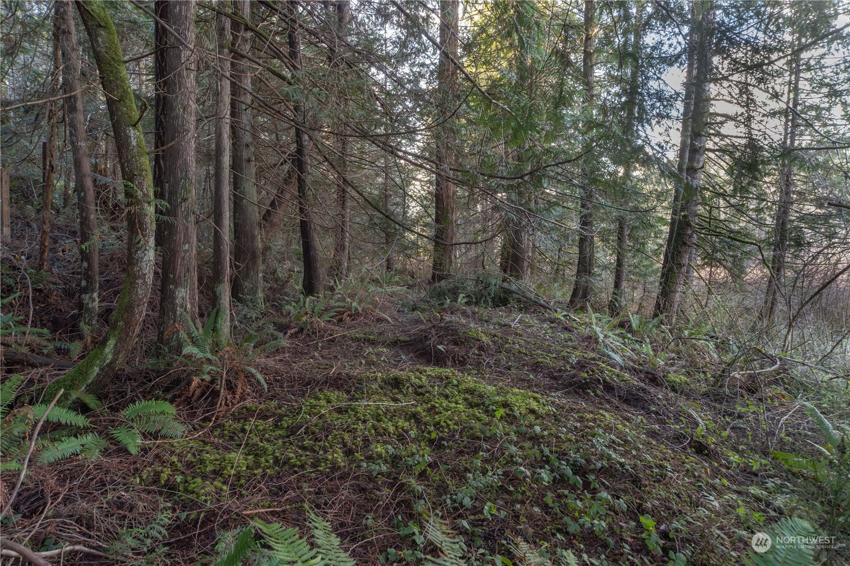 0 Trout Lane Property Photo 1