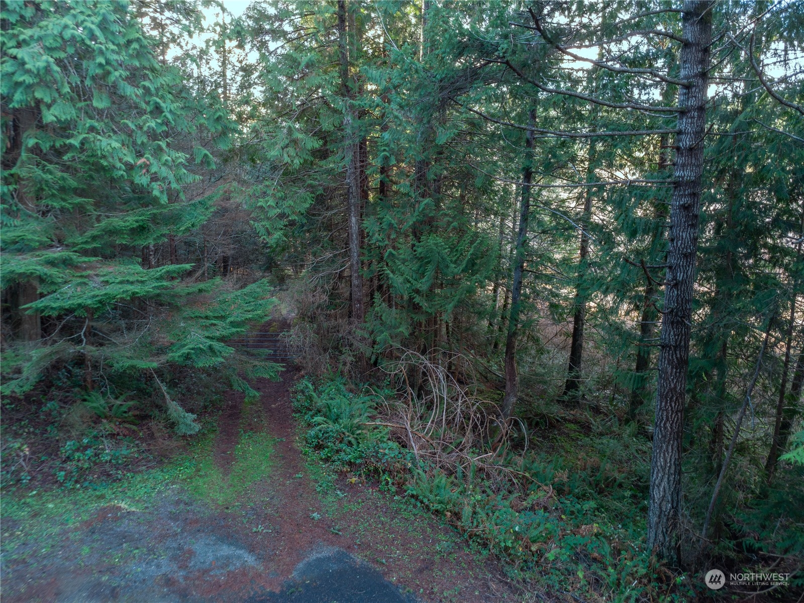 0 Trout Lane Property Photo 2