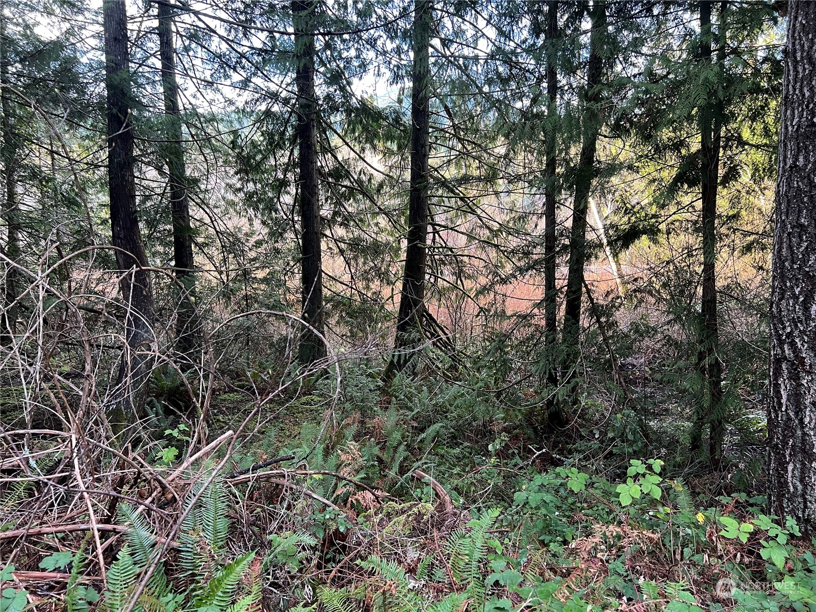 0 Trout Lane Property Photo 3