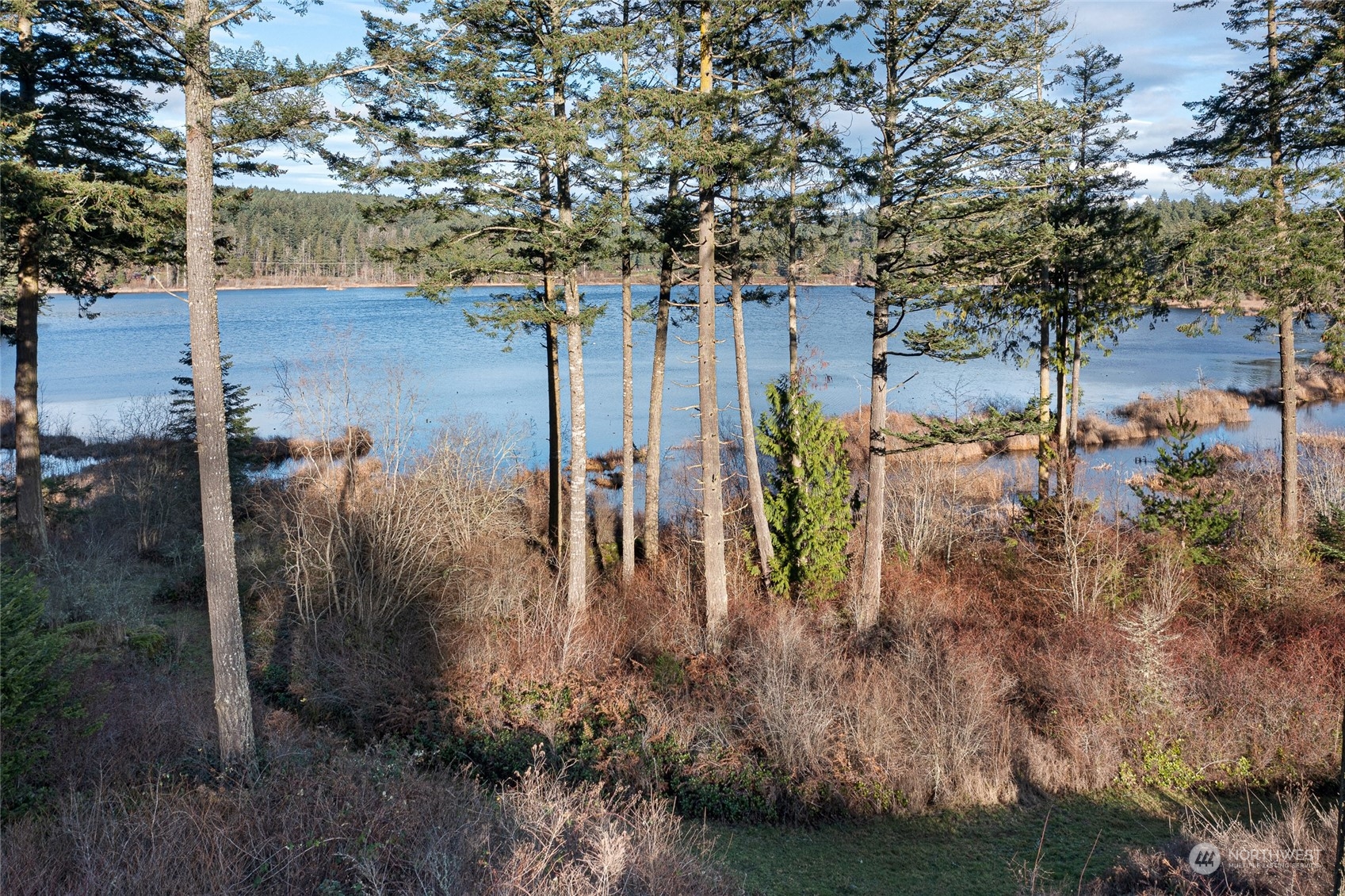 303 Woodpecker Lane Property Photo 25