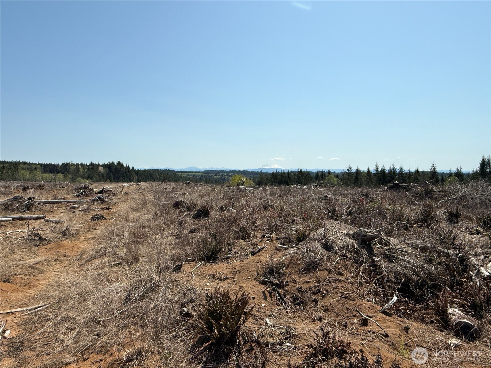 2 Xx Oppelt Road Property Photo 5
