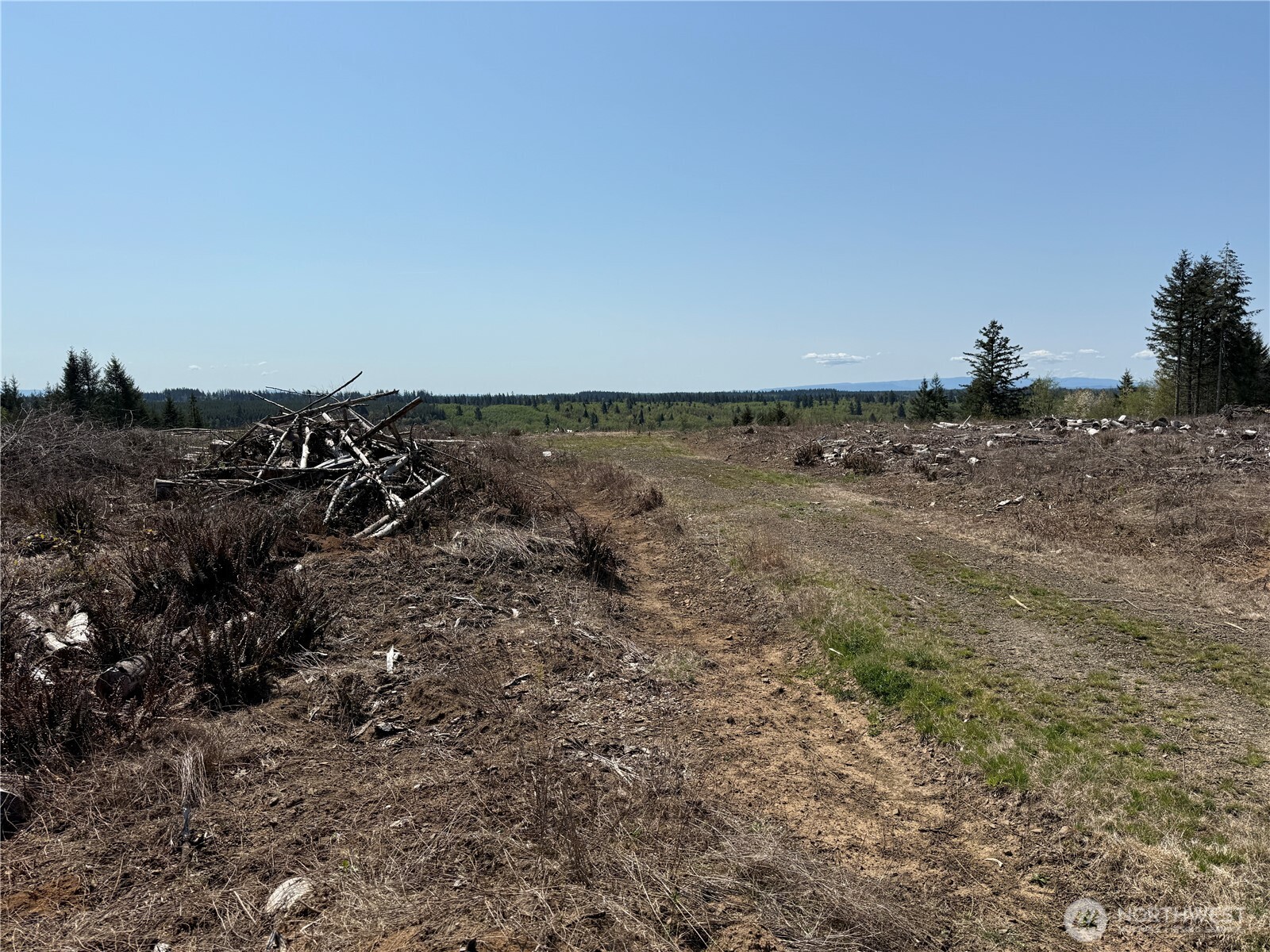 2 Xx Oppelt Road Property Photo 6